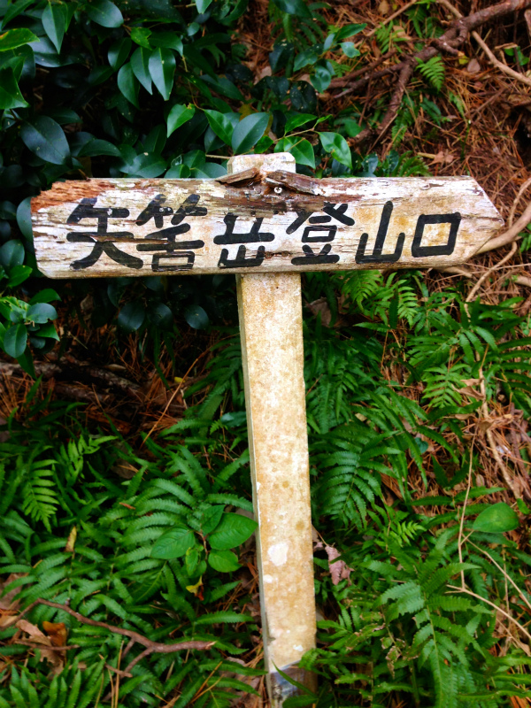2014/01/09 Mountain Running Trip in Kagoshima 鹿児島 Day.2 鬼門平、清見岳、矢筈岳_b0220886_1742977.jpg
