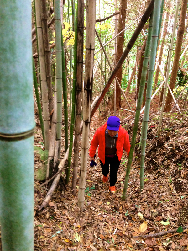 2014/01/09 Mountain Running Trip in Kagoshima 鹿児島 Day.2 鬼門平、清見岳、矢筈岳_b0220886_17485439.jpg