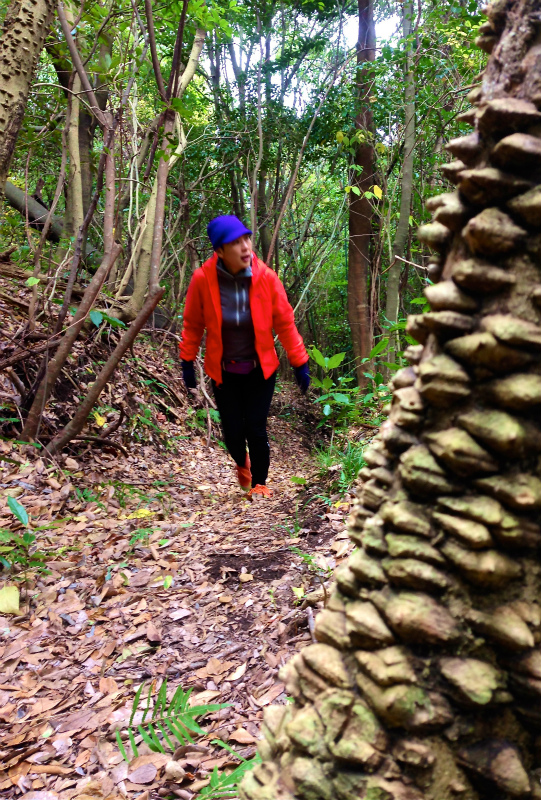 2014/01/09 Mountain Running Trip in Kagoshima 鹿児島 Day.2 鬼門平、清見岳、矢筈岳_b0220886_1749444.jpg
