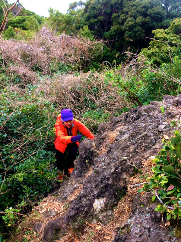 2014/01/09 Mountain Running Trip in Kagoshima 鹿児島 Day.2 鬼門平、清見岳、矢筈岳_b0220886_1751151.jpg