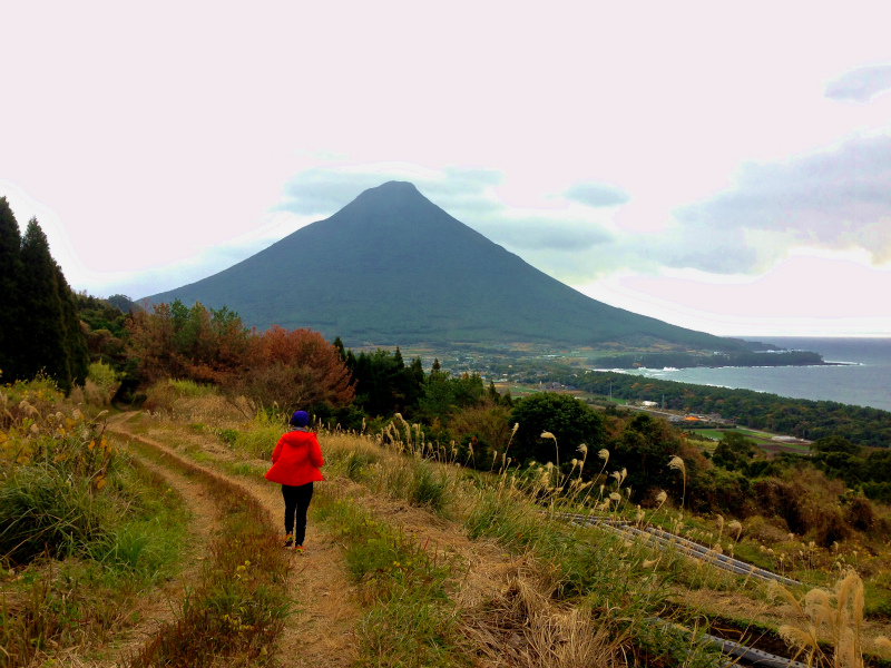 2014/01/09 Mountain Running Trip in Kagoshima 鹿児島 Day.2 鬼門平、清見岳、矢筈岳_b0220886_17532950.jpg