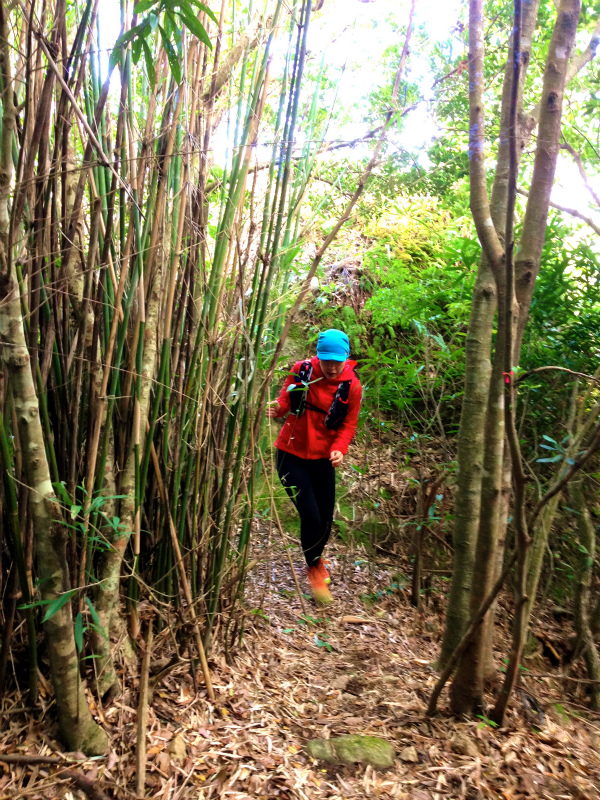 磯間嶽 Mountain Running Trip in Kagoshima 鹿児島 Day.4 _b0220886_22205915.jpg