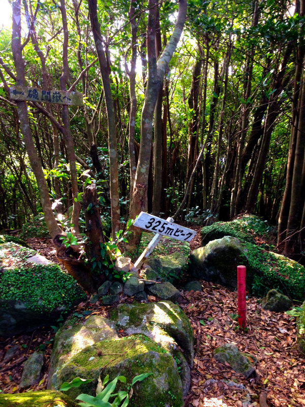 磯間嶽 Mountain Running Trip in Kagoshima 鹿児島 Day.4 _b0220886_2221924.jpg