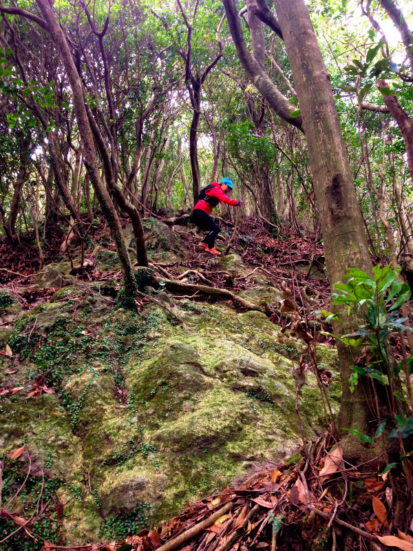 磯間嶽 Mountain Running Trip in Kagoshima 鹿児島 Day.4 _b0220886_22235252.jpg