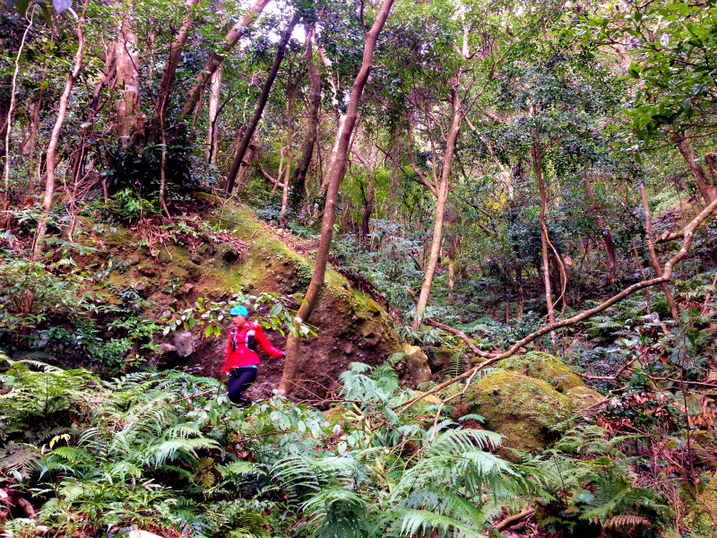 磯間嶽 Mountain Running Trip in Kagoshima 鹿児島 Day.4 _b0220886_22362558.jpg