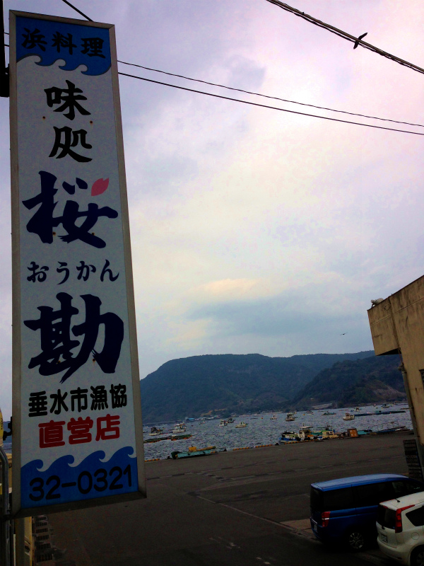 2014/01/12　Mountain Running Trip in Kagoshima 鹿児島 Day.5　刀剣山_b0220886_23331450.jpg