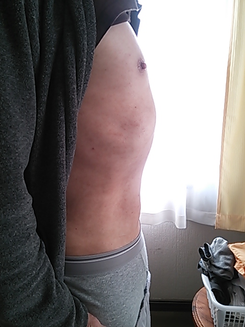 c0204188_1313352.jpg