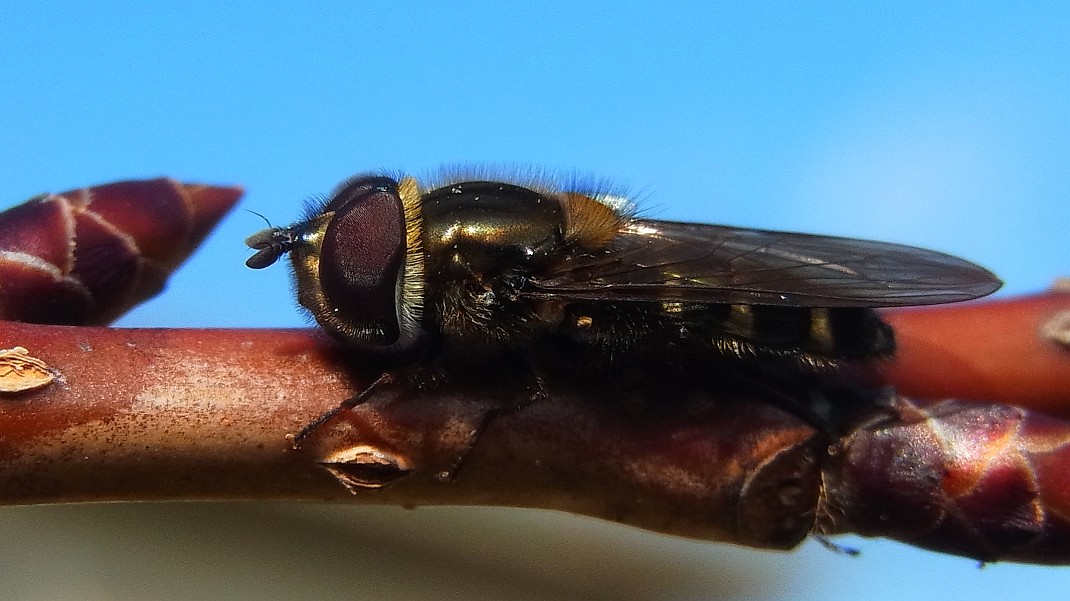 a0152692_17325810.jpg