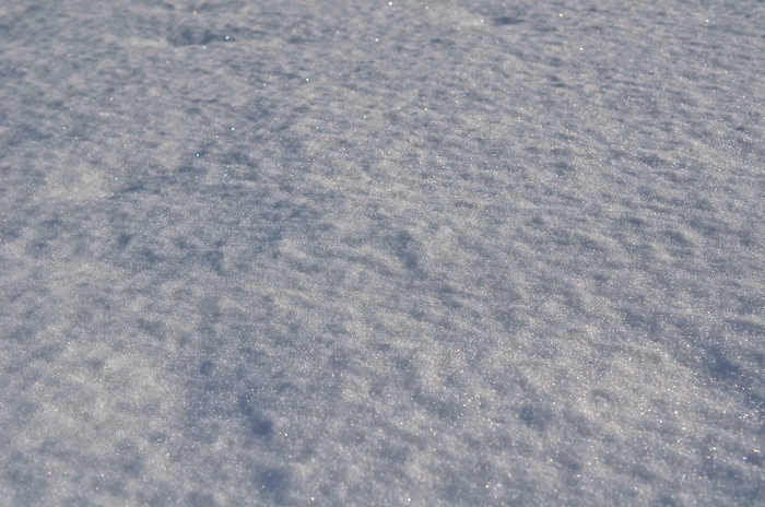気分転換_d0077992_2256835.jpg