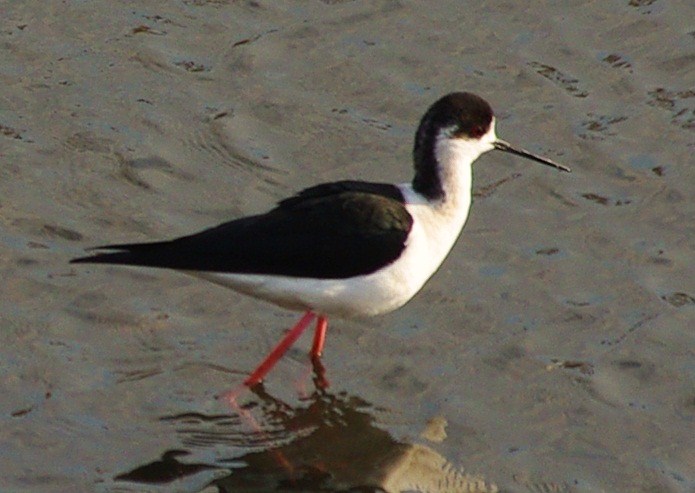 b0028598_19354435.jpg