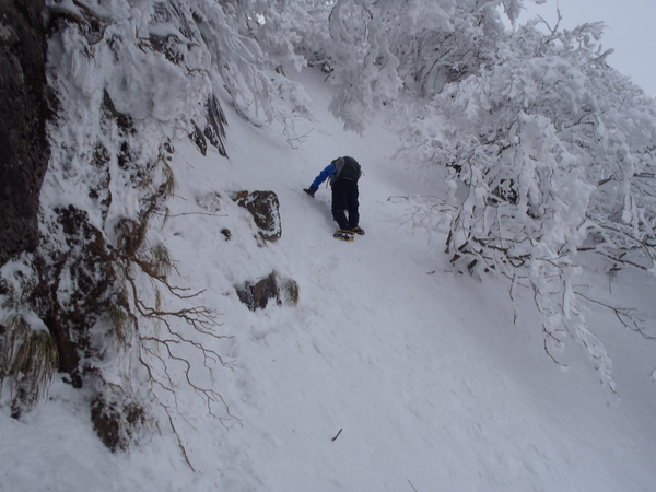 久しぶりの石鎚山_d0178999_16513743.jpg