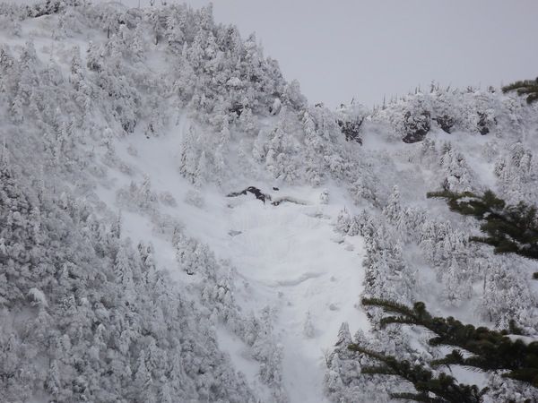 久しぶりの石鎚山_d0178999_1654983.jpg