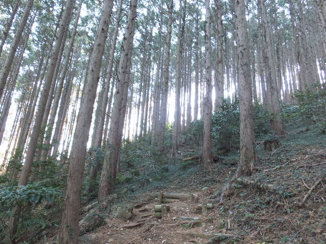 a0271502_20442418.jpg