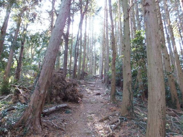 a0271502_20505324.jpg