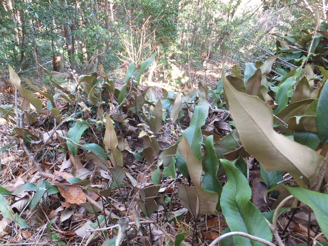 a0271502_2054810.jpg