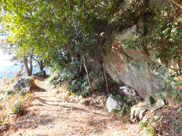 a0271502_21155080.jpg