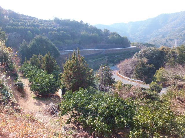 a0271502_21244339.jpg
