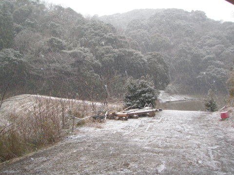 1月15日（水）南国なのに大雪！_f0192504_9152873.jpg