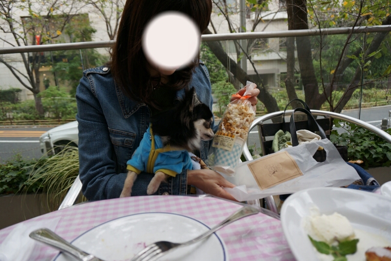 c0110906_2258530.jpg