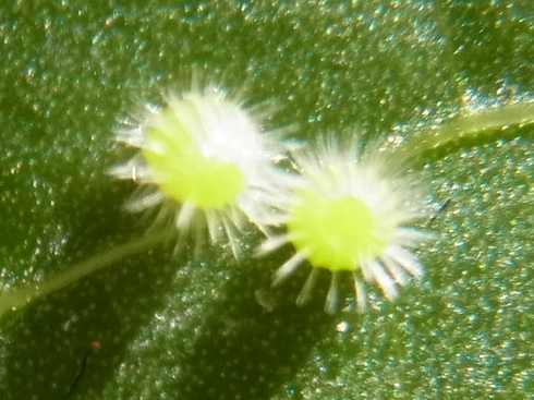 d0251807_19135053.jpg