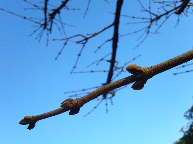 f0024708_12323371.jpg