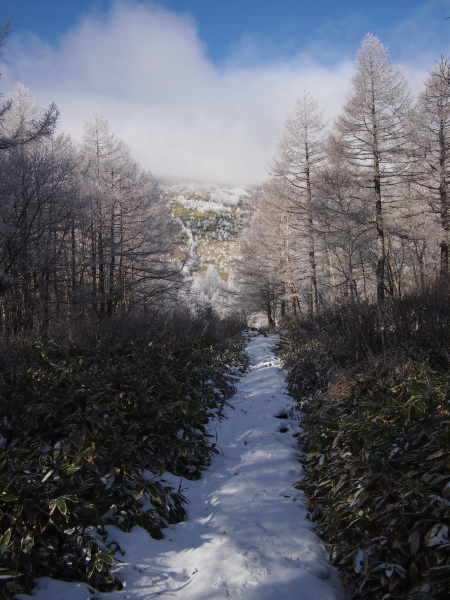 b0244811_2244211.jpg
