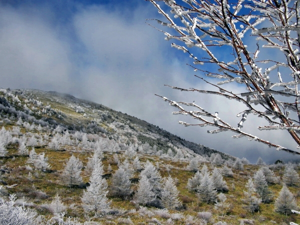 b0244811_22445715.jpg