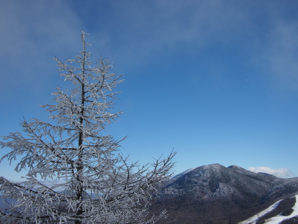 b0244811_22554220.jpg