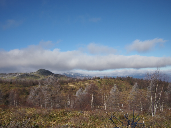 b0244811_2374020.jpg