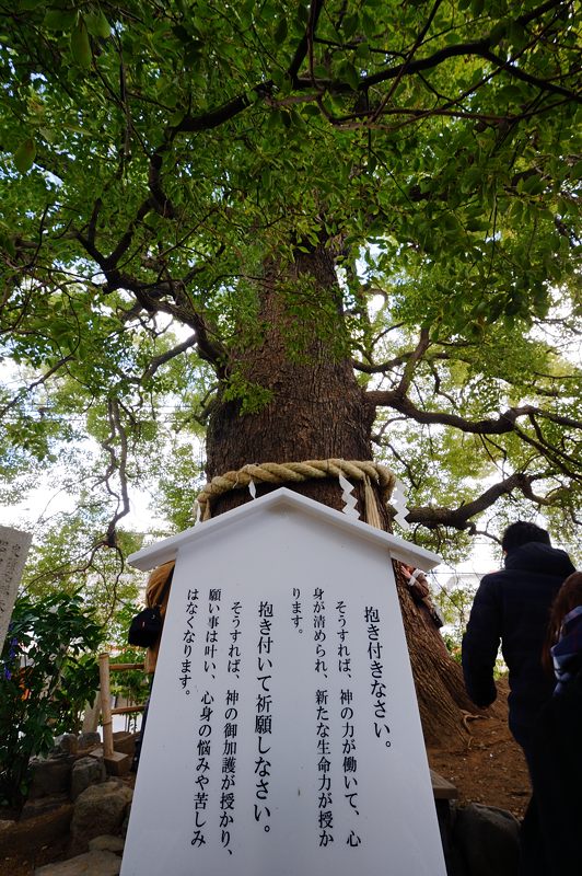 左義長神事@新熊野神社 其の二_f0032011_19453659.jpg
