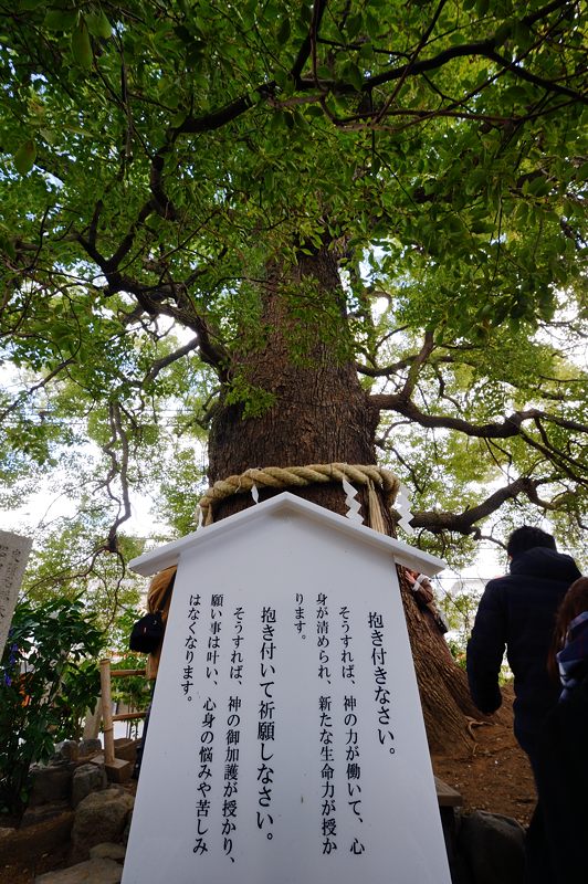 左義長神事＠新熊野神社　其の二_f0032011_19453659.jpg