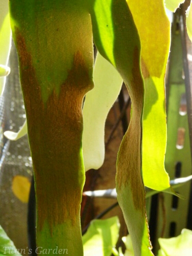 b0099813_049878.jpg