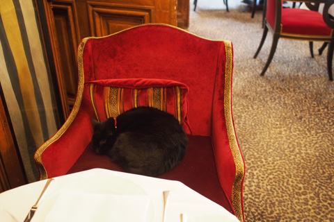 Saint James Paris - Library Barとレストランで楽しいひととき。_d0063314_23543356.jpg