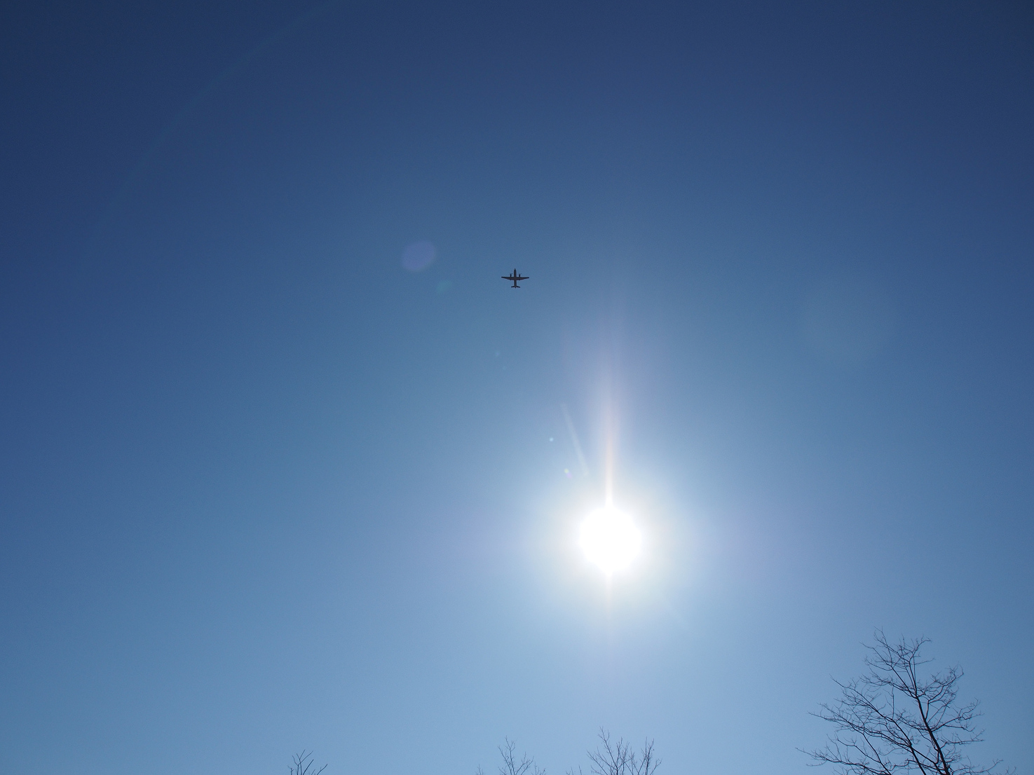b0224616_1847746.jpg