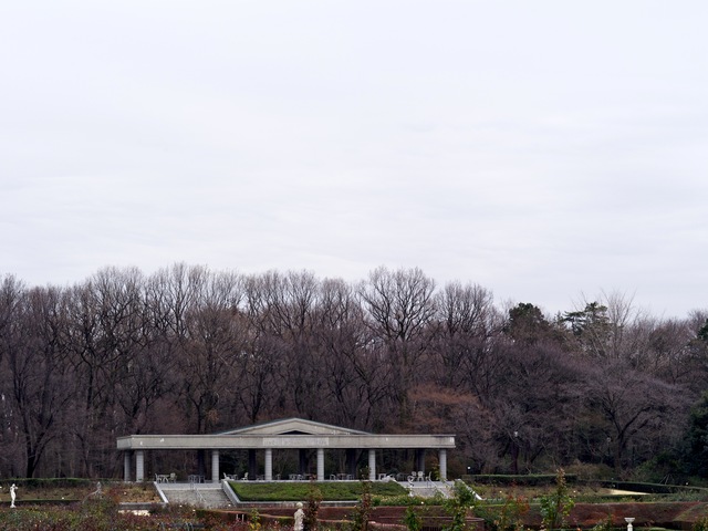 寒い日の植物公園_b0191026_20475752.jpg