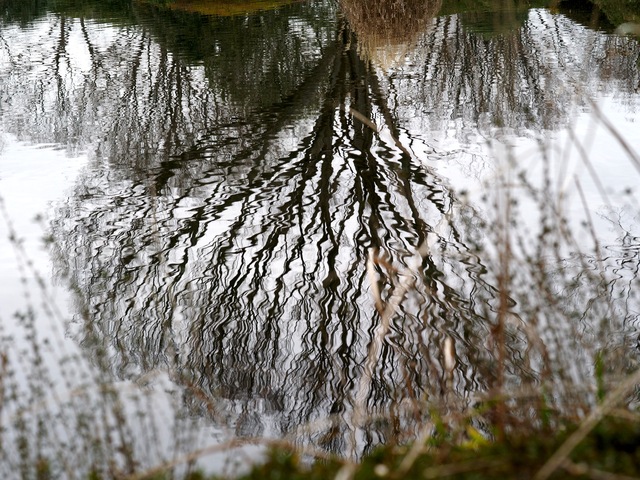 寒い日の植物公園_b0191026_20485123.jpg