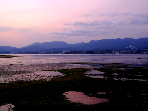 「広島・宮島 鳥居とぶらぶら」_a0000029_23153863.jpg