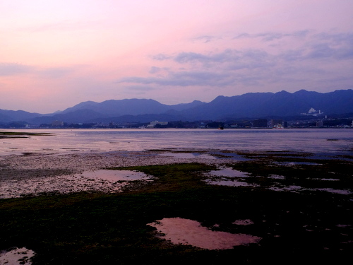 「広島・宮島　鳥居とぶらぶら」_a0000029_23153863.jpg