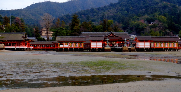 「広島・宮島 鳥居とぶらぶら」_a0000029_2320125.jpg