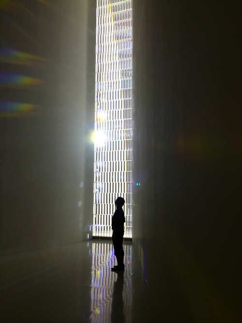 Crystallize - TOKUJIN YOSHIOKA_e0243332_191064.jpg