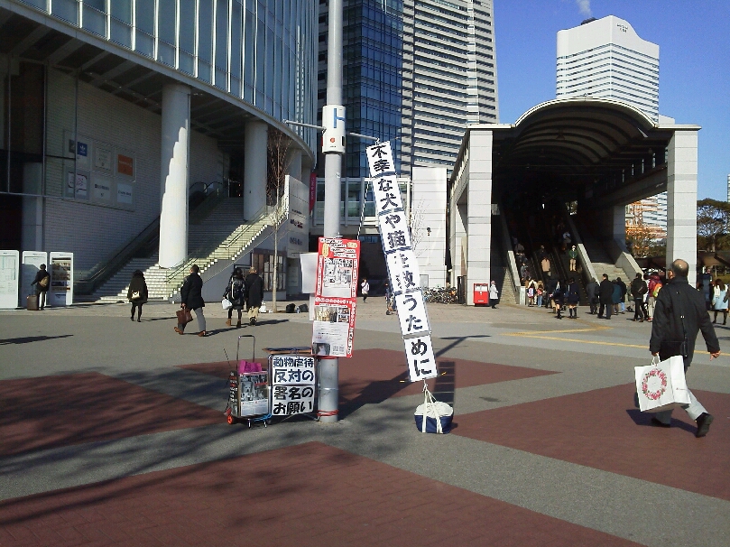 1月13日 動物問題パネル展in桜木町_c0325437_23173666.jpg