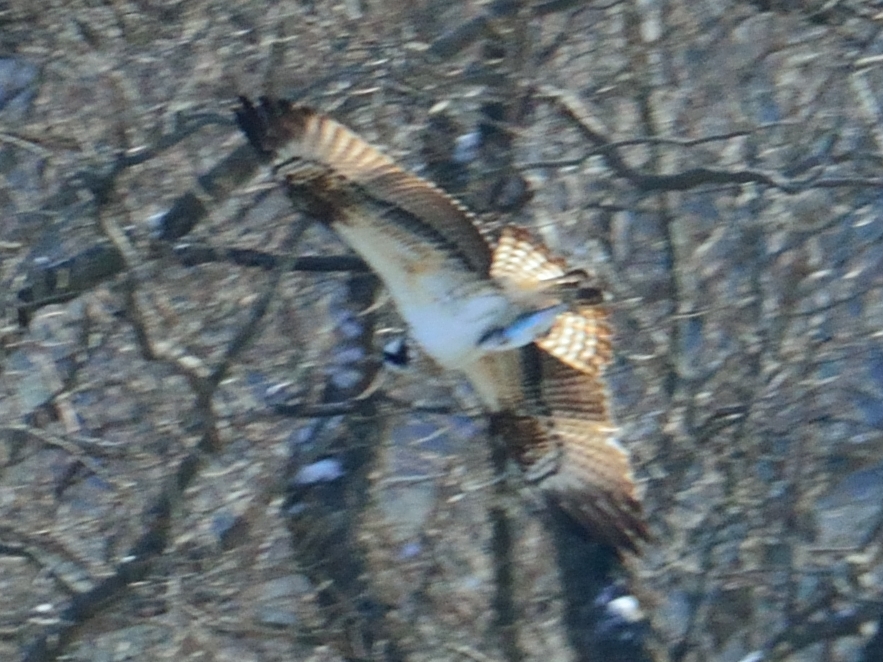 c0314839_07441502.jpg