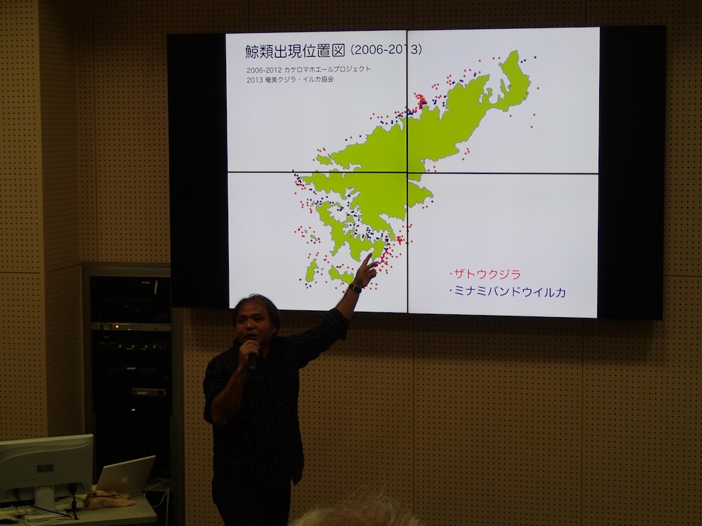 エコツアーガイド研修会「奄美・沖縄のザトウクジラ」_f0062839_20401981.jpg