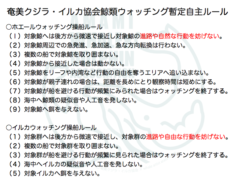 エコツアーガイド研修会「奄美・沖縄のザトウクジラ」_f0062839_20424681.png