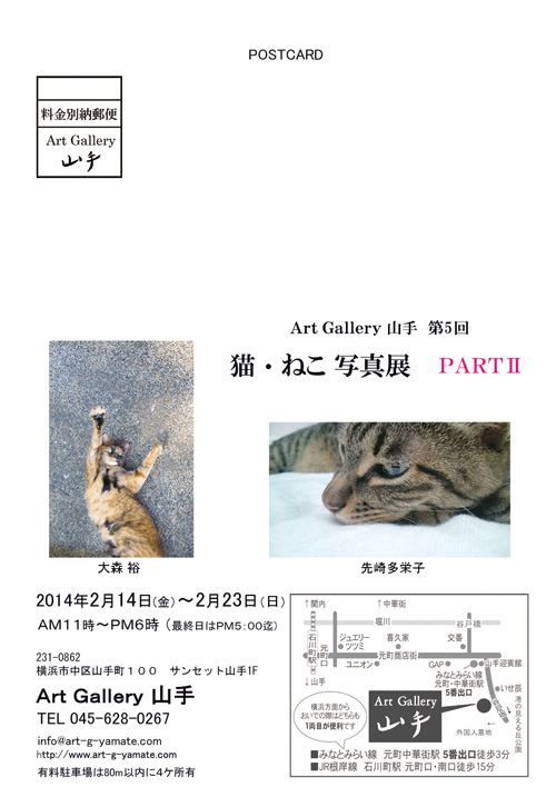 第五回 猫・ねこ写真展　その1：DreamLabo 5000 で製作した星野の写真集販売します！_c0194541_13332328.jpg
