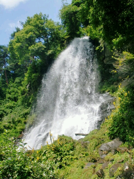 c0295742_195717.jpg