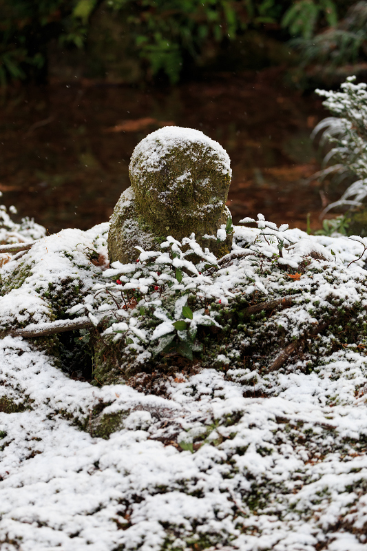 三千院・雪景色（有清園編）_f0155048_23133239.jpg