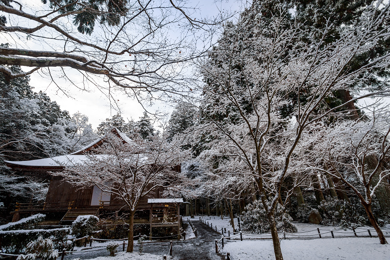 三千院・雪景色（有清園編）_f0155048_2375687.jpg