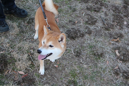 f0245650_01099.jpg