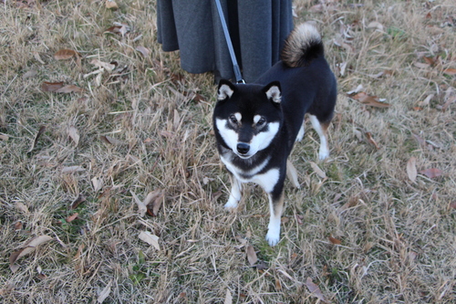 f0245650_05386.jpg